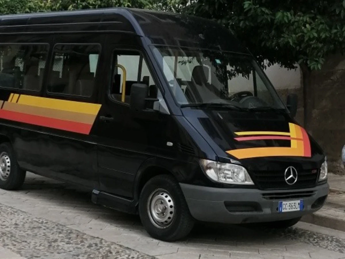 Pulmino disabili a noleggio